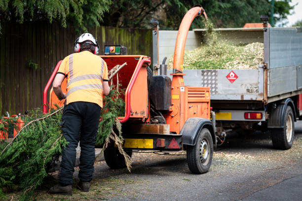 Best Professional Tree Care  in Athens, TX